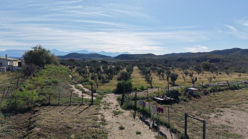 0 Bedroom Property for Sale in Ladismith Western Cape